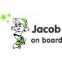 baby_on_board
